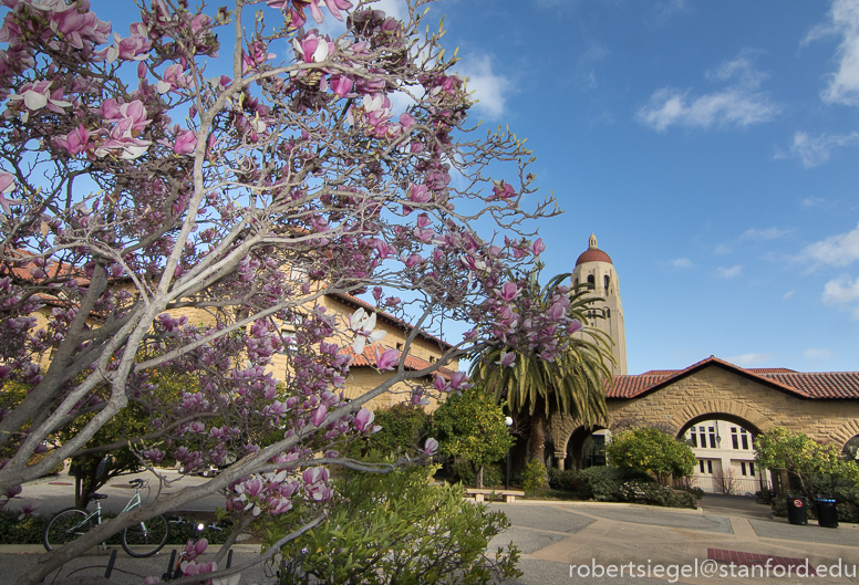 the quad